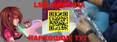 гашик Шебекино