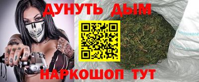 гашик Шебекино