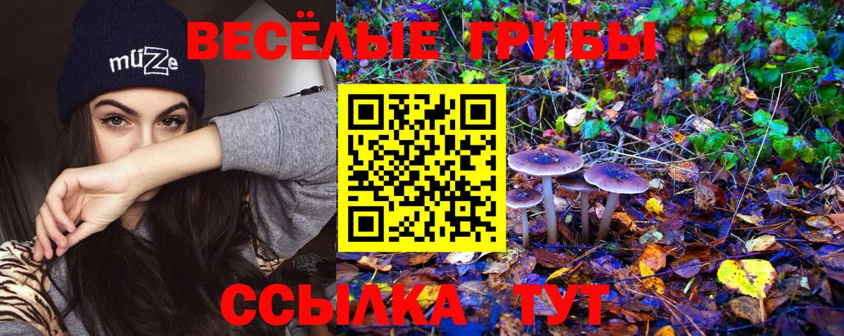 Псилоцибиновые грибы Cubensis Протвино
